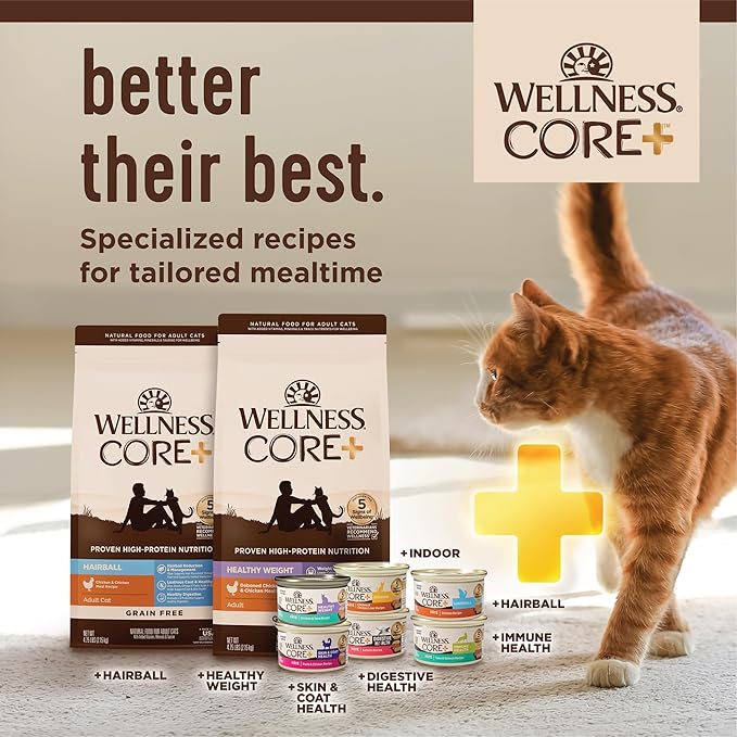 Wellness CORE+ Immune Health Pate Adult Wet Cat Food, Natural, Protein-Rich, Grain Free, 2.8 Ounce, 12 Pack (Chicken & Turkey)