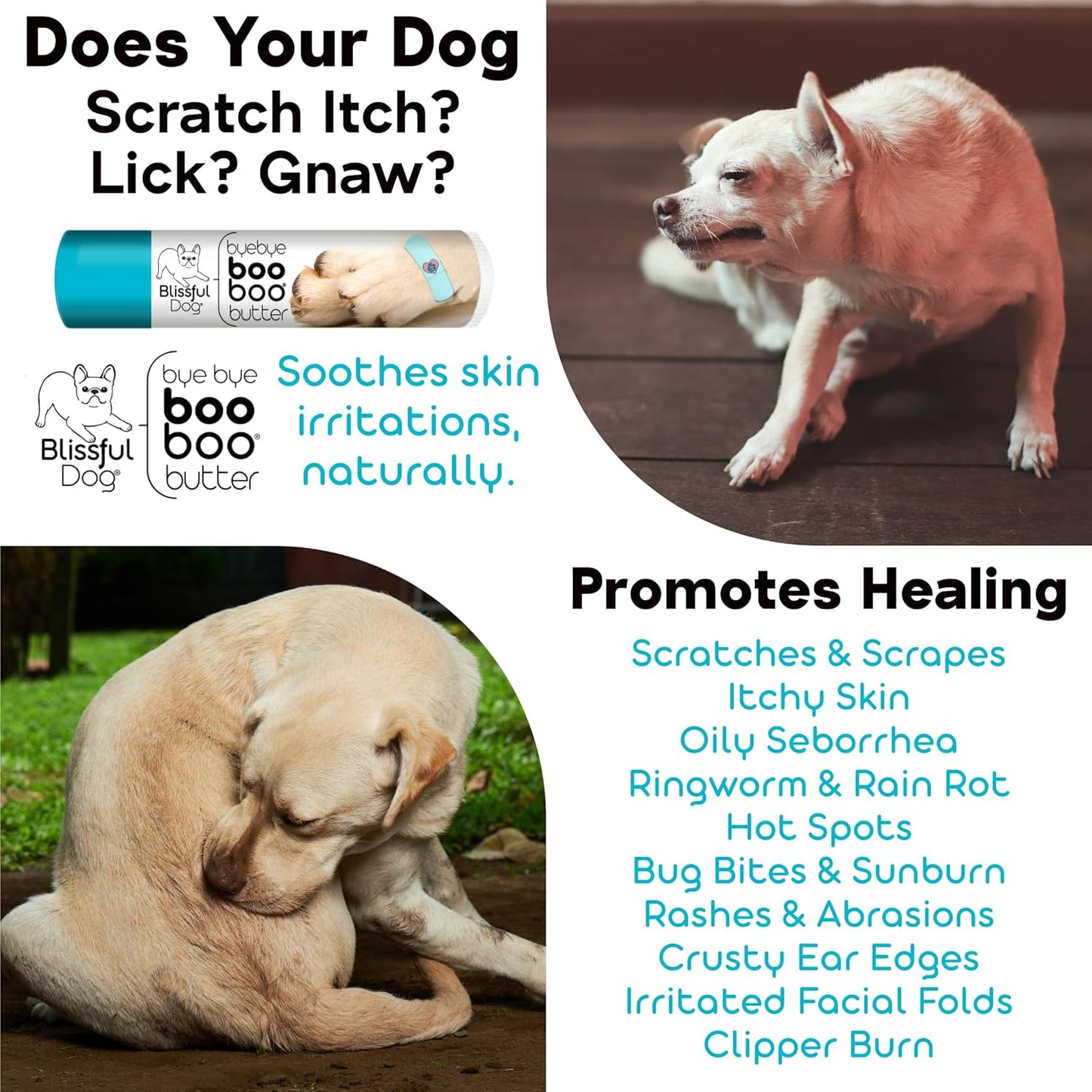 The Blissful Dog 2 oz TIN Newfoundland Booboo Butter