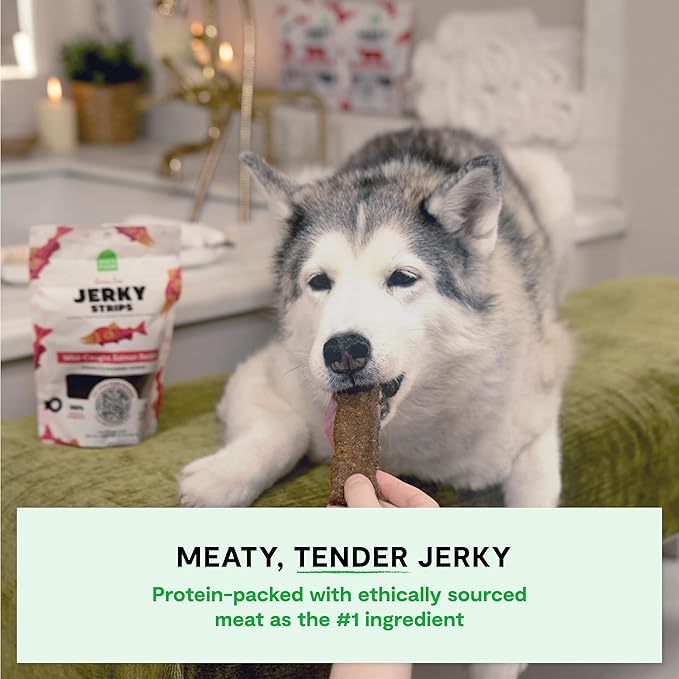 Open Farm, Dog Jerky Treats, Soft & Chewy Oven-Baked Jerky Strips Made with Ethically & Sustainably Sourced Ingredients, Protein Packed Dog Treats, Grain Free Wild Caught Salmon Recipe, 5.6oz Pouch