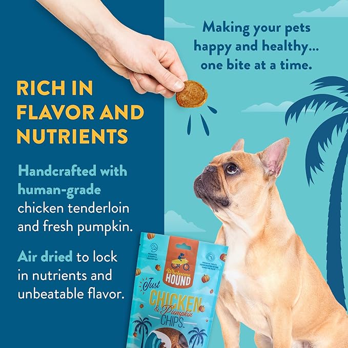 Chicken & Pumpkin Chips – Single Ingredient Dog Treats, All Natural & Healthy Training Snacks for Small, Medium & Large Breeds, Puppies – High Protein, 3oz