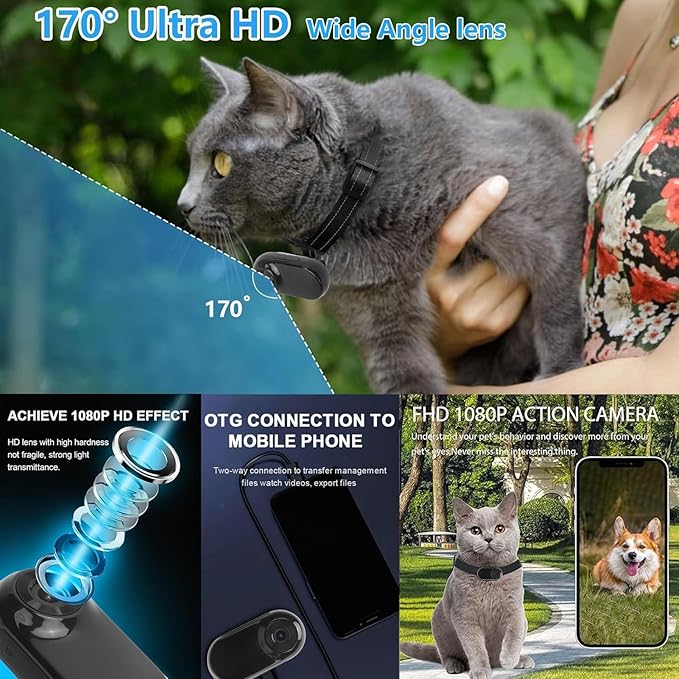 ASHATA HD 1080P Cat Collar Camera, Pet DV Camera 170 Degree Wide Angle Lens, Dog Collar Camera Sport Action Camera for Cats Dogs Outdoor Inoor Puppy Supplies Birthday, ASHATA9eazqg3rc4