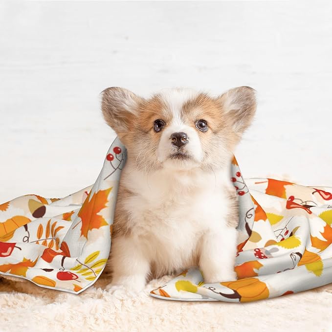 Fall Blanket for Dog Cat - Pumpkin Mushroom Throw Blanket 30x20 Halloween Autumn Pet Blanket for Couch Sofa Bed