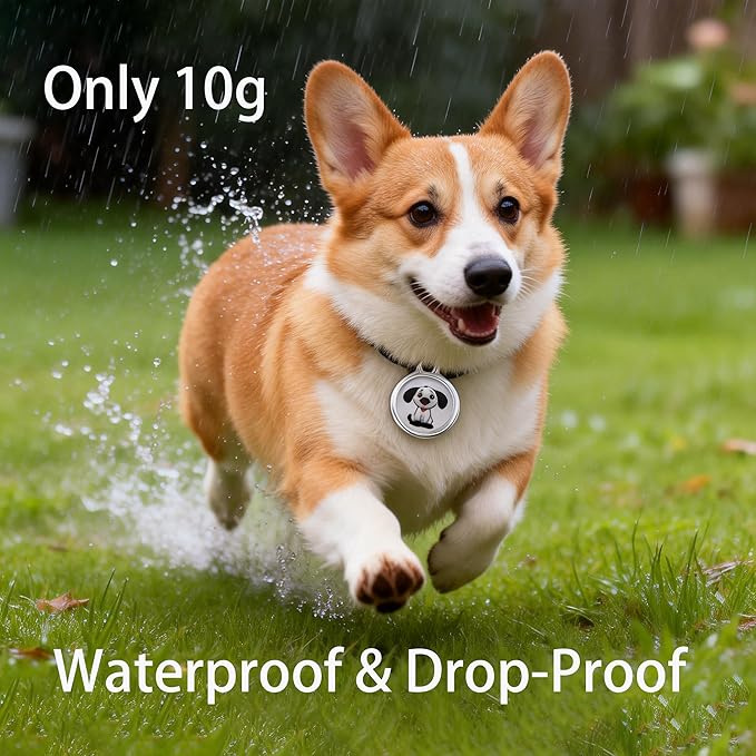 GPS Pet Tracker with Apple Find My Network, Android Compatibility, Real-Time Location Tracking, Water-Resistant (DINGWEIQI001)