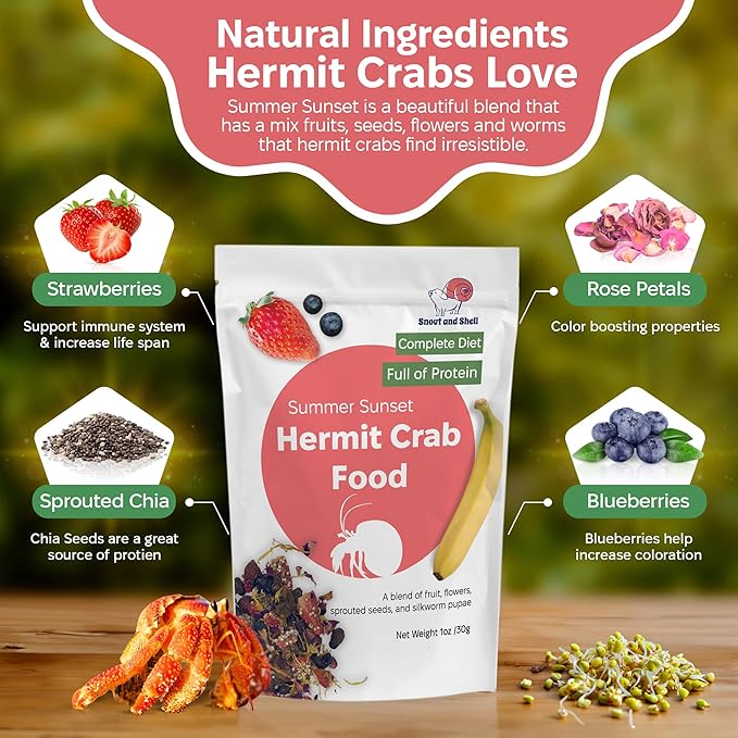 Snout and Shell Hermit Crab Food Bundle (Fruity Breakfast Blend, Ocean Mix, Protein Mix, Summer Sunset, Worm Castings & Oyster Shell Flour)