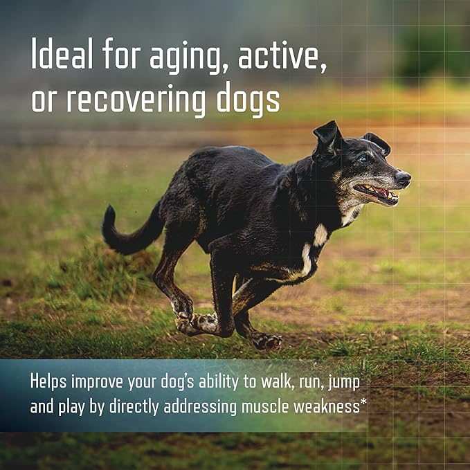 Virbac URSOLYX Soft Chews for Dogs | Muscle Health Support for Senior, Active or Recovering Dogs, Large | 60 Count 2- Month Supply