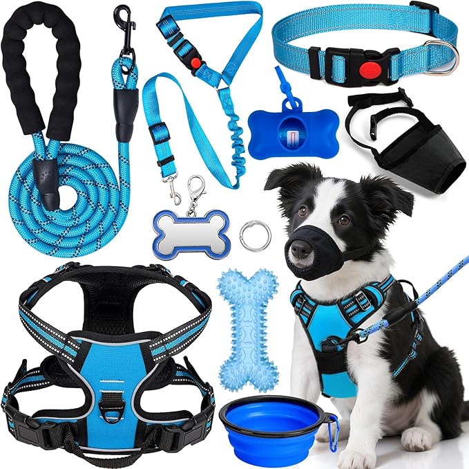 No Pull Dog Harness Adjustable Collar & Leash Set - Dog Halter Harnesses Collapsible Bowls & Poop Bag Dispenser Muzzle ID Tags Toys Fits Small Medium Large Dogs (Blue-M)