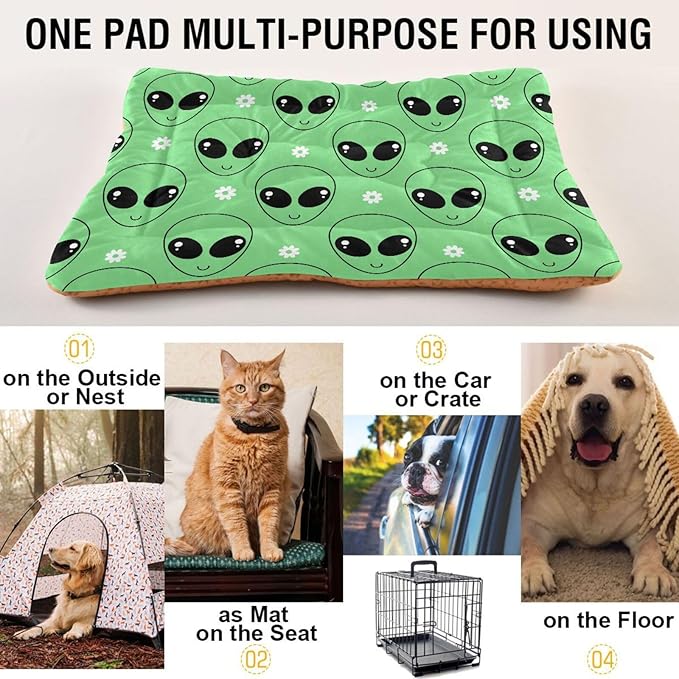 Green Alien Cartoons Daisy Flower Pet Bed Cute Dog Bed Mat Absorbing Non Slip Pad Pet Sleeping Mat for Small, Medium, and Large Dogs Puppy Cat 24 in x 18 in