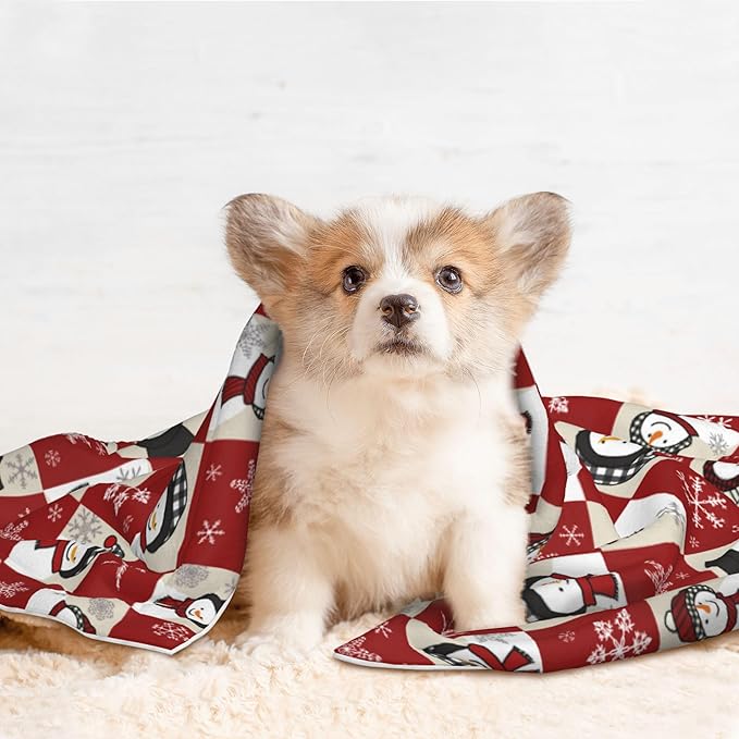 Red Beige Snowman Blanket - Snowflake Throw Blanket 23x16 Pet Blanket for Couch Sofa Bed Winter Xmas Holiday