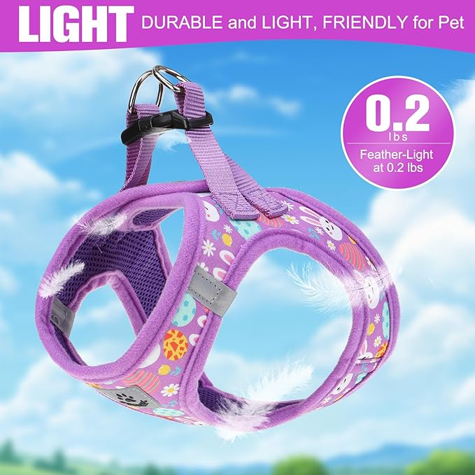 EXPAWLORER Easter Small Dog Harness - Dog Collar and Leash Set - Soft Mesh Padded Adjustable Step in Puppy Vest Harness No Pull, Reflective Escape Proof for Outdoor Walking, Bunny Egg S