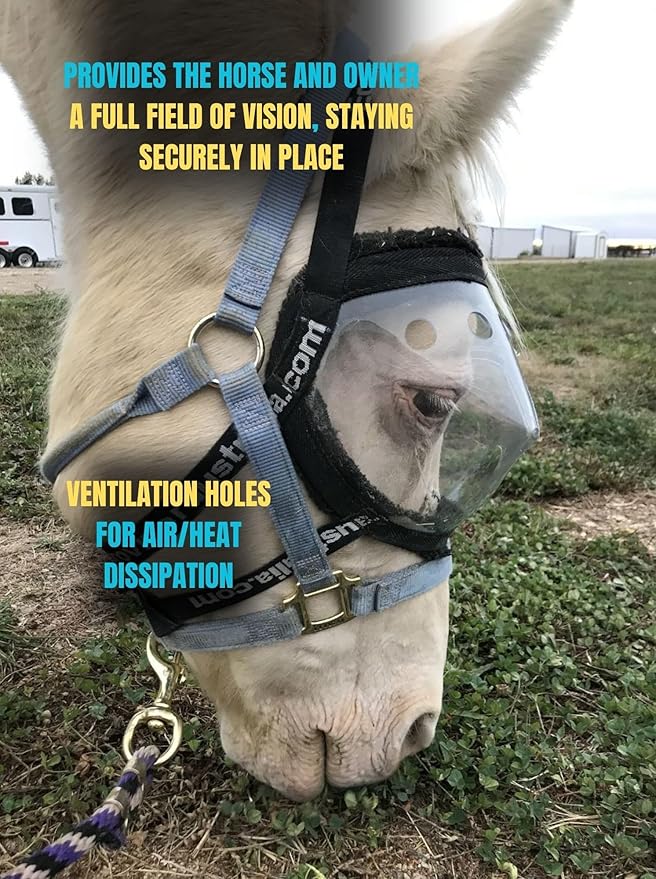 Recovery Vizor, (Size Pony - Clear UV Tint) Medical/Preventative Horse Eye (Goggle) Protection for Uveitis/Injury/Scratch or Corneal Ulcer, Infection, Blindness, Photsensitivity