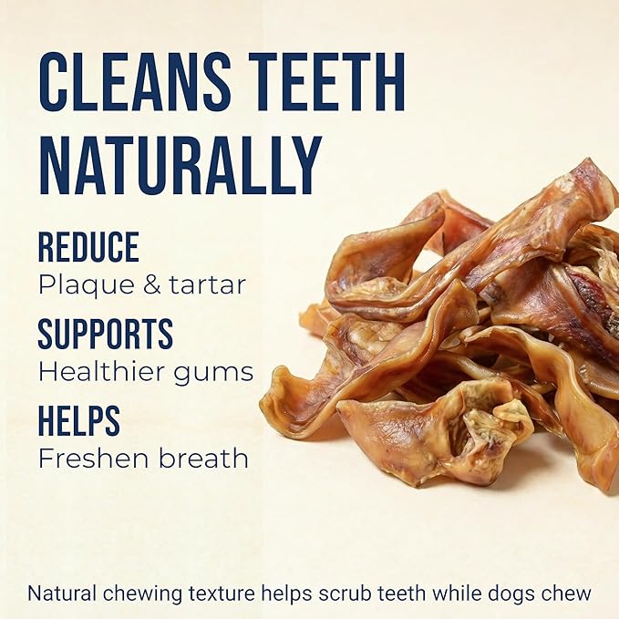 K9warehouse Pig Ears Strips - 32oz USA Packed - Natural Bulk Pig Ear Slivers - Treats Made of 100% Pure Pork - Alternative to Rawhide Chews - Thick Cut Pigs Ear Dog Treats for Small to Large Dogs