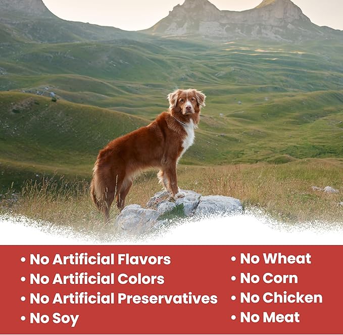 Chew + Heal Labs Dog Salmon Jerky Treats with Cognitive Support - 5 oz of Wild Caught Salmon Jerky Dog Treat - Made with Gingko Biloba, Blueberries, Cranberries, Pumpkin, and More - Made in The USA