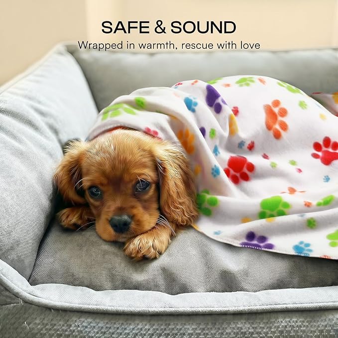 LINENLUX Cute Dog Blanket for Small Medium Dogs 6-Pack Soft Stretchy Fleece Blankets for Pet Cat Puppy Warm Wrinkle-Resistant Throw for Couch Bed Outdoor White 31x24 inch (Pack of 6)