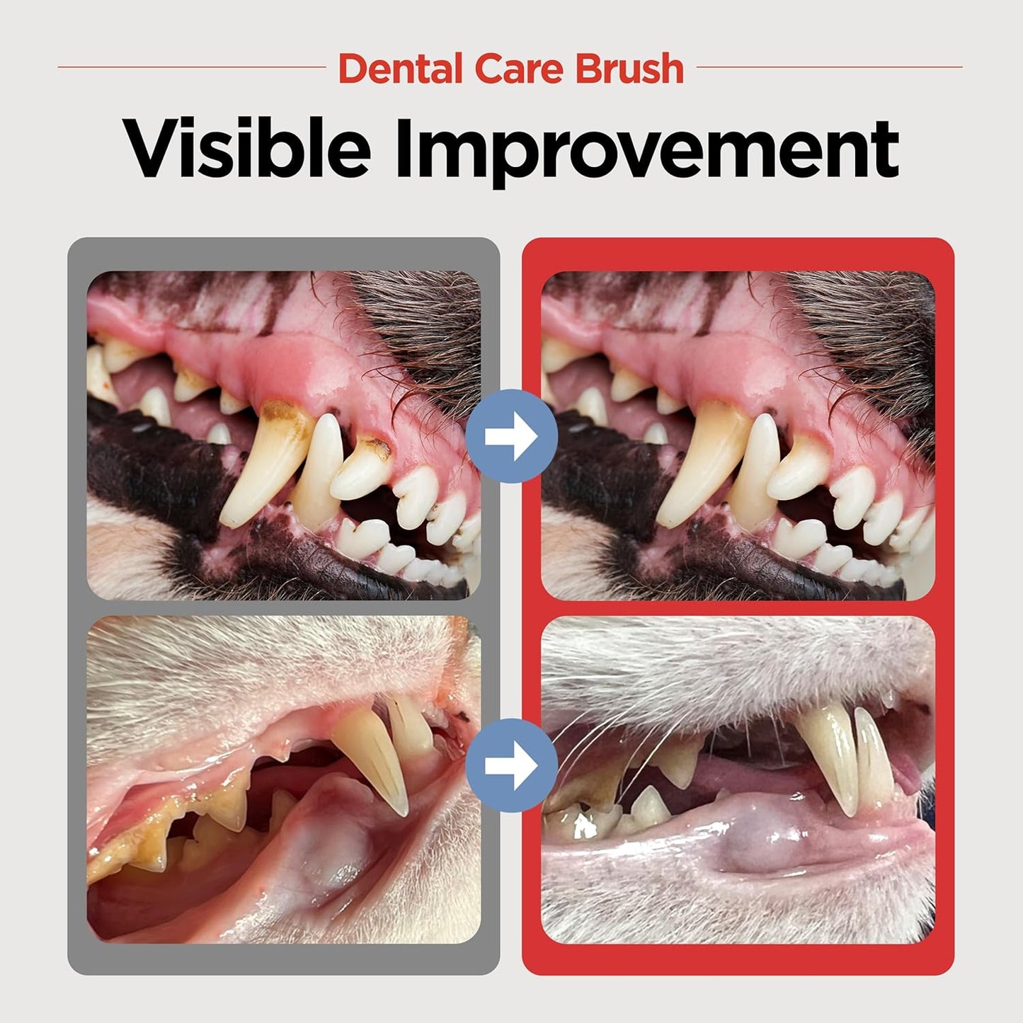 JAYU PET Dental Care Brush (Soft Bristles) 5ea - Dog Toothbrush, Cat Toothbrush, Dental Care for Kitten and Small Dogs, Removing Old Plaque and Tartar, Cat Teeth Brushing & Easy Cleaning