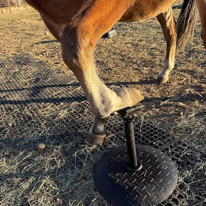 Horse Hoof Stand, Height Adjustable Farrier Stand for Horse Hoof Trimming, 17 in Wide Round Base for Foot Balance Control