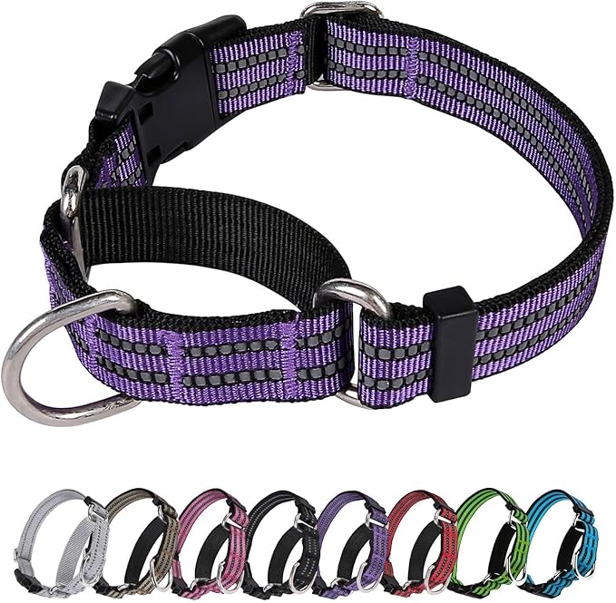 Martingale Dog Collar, Adjustable Nylon Reflective Collar with Buckle No Pull Dog Collar for Small Medium Large Dogs (Purple L)