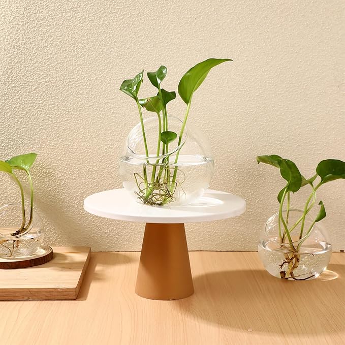 Toyvian 3pcs Terrarium Glass Bowls for Air Plants for Hydroponics Miniature Garden Desktop Containers for Home Office for Bromeliads