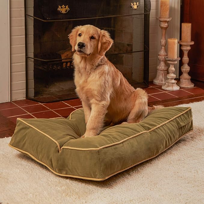 South Pine Porch Buddy Reversible Rectangle Pillow Style Microfiber Dog Bed with Removable, Machine-Washable Cover, Moss, Small (36 in. x 24 in.)