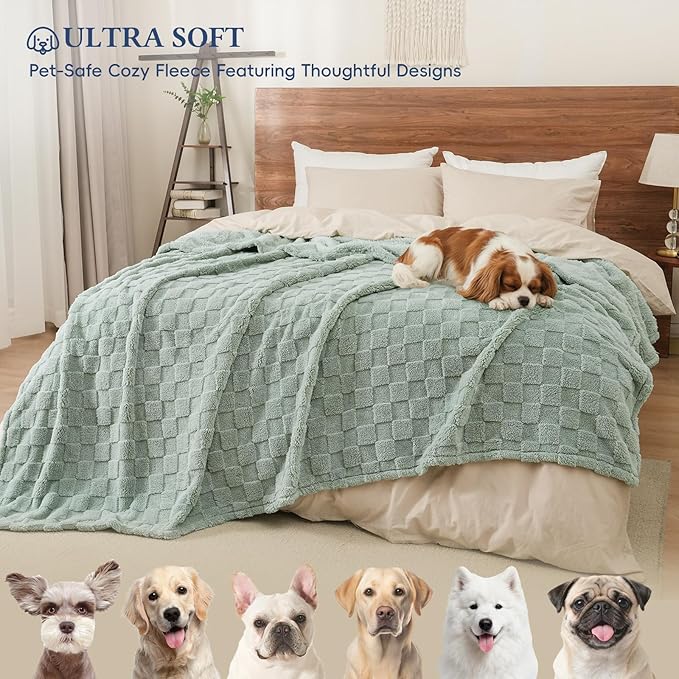 David's Home Large Dog Blankets Washable Pet Bed Cover, Soft Fluffy Fuzzy Cat Puppy Blanket with Premium 300GSM Fleece for Pet Kitten Doggy, Aqua Gray, 50x60IN