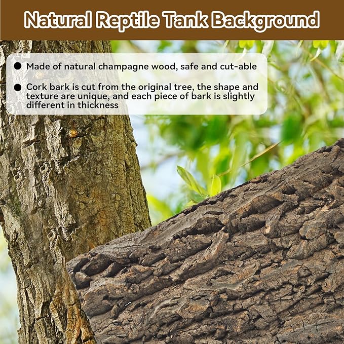 2PCS Reptile Cork Bark Background,15.74 x 11.81 Inch Natural Cork Wood Terrarium Background Bearded Dragon Tank Bark Backdrop Wall Decor for Lizard Gecko Chameleon Tortoise Snake Spider Frog