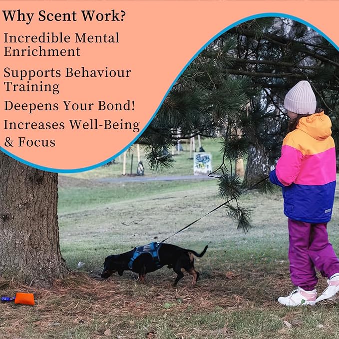 Dog Scent Training kit, Brain Games, Hide and Seek Toys - Fun Nose Work Games, Sniff and Seek Sniffing Toys, Dog Nosework Kit, Scent Work Kit for All Ages Dog (Orange)