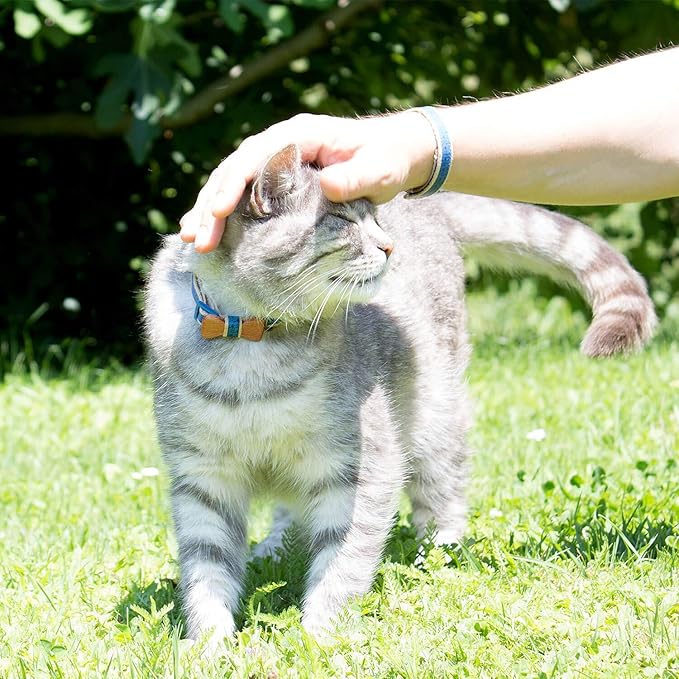 Pettsie Breakaway Cat Collar with Bow Tie and Matching Bracelet–Adjustable Cotton Kitten Collar with Safety Buckle for Cats and Small Pets–Cute Cat Gift for Owners and Cat Lovers, 8-11 Inches, Blue