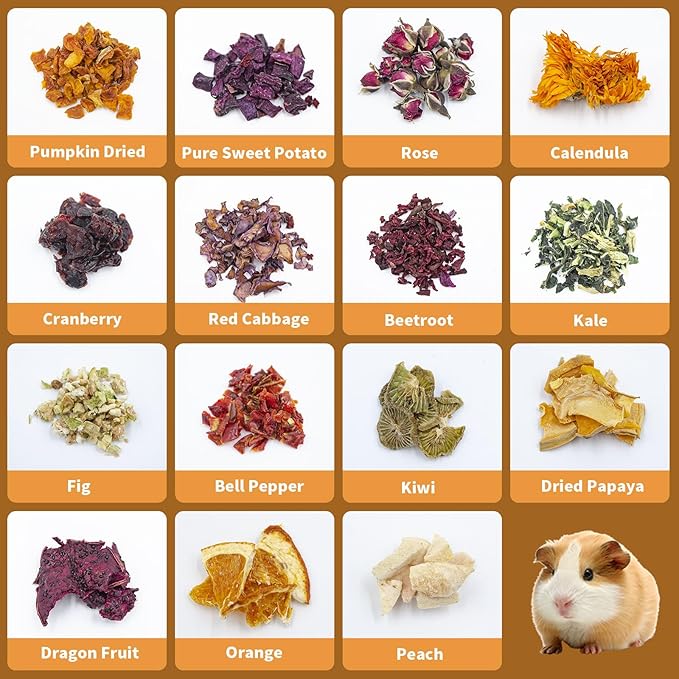 Bunny Treats, Treat Box with 15 Kind of Snacks for Rabbit, Hamster, Chinchilla, Guinea Pig and Other Small Pets, Chinchilla Treats, Guinea Pig Treat