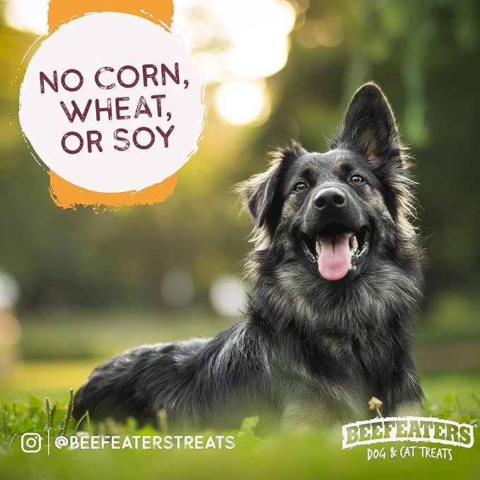 Beefeaters Chicken Jerky Strips for Dogs – Dog Treat. 100% Real Chicken Breast, Grain-Free, No Additives, Perfect for Training & Healthy Growth, Allergy-Friendly
