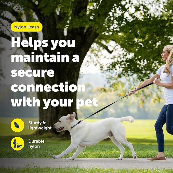 PetSafe Nylon Leash - Strong Nylon Dog Leash for Everyday Walks - Durable Pet Leash with Quick Attach Leash Clip - Comfortable Soft Grip - 4 Feet - Royal Blue