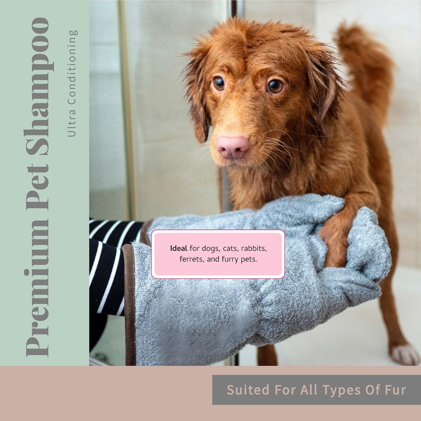 Begley's No Rinse Waterless Pet Shampoo, Bathless Cleaning, Deodorizing, and Odor Removal for a Shiny, Fresh Smelling Coat - Effective for Dogs, Puppies, and Cats - Fresh Lavender Scent