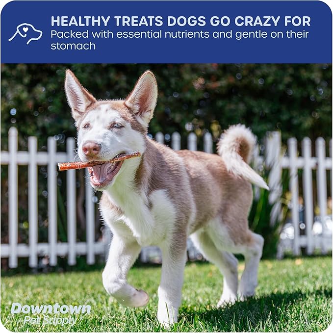 Downtown Pet Supply USA Sourced Bully Sticks for Dogs - Grass-fed Beef Chews, Low-Odor & Rawhide-Free, Long Lasting Dog Treats - Healthy, Safe & Delicious Chews (6" 10 Pack)