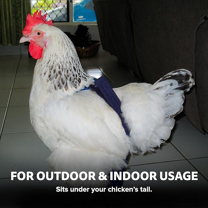 Hen Holster Bikini Diaper, Bird Diaper & Harness for Hens, Roosters, Ducks, Geese - with Removable Vinyl Liner, Adjustable Fit for Outdoor Adventures & Indoor Use - Easy to wear - S/M, Purple