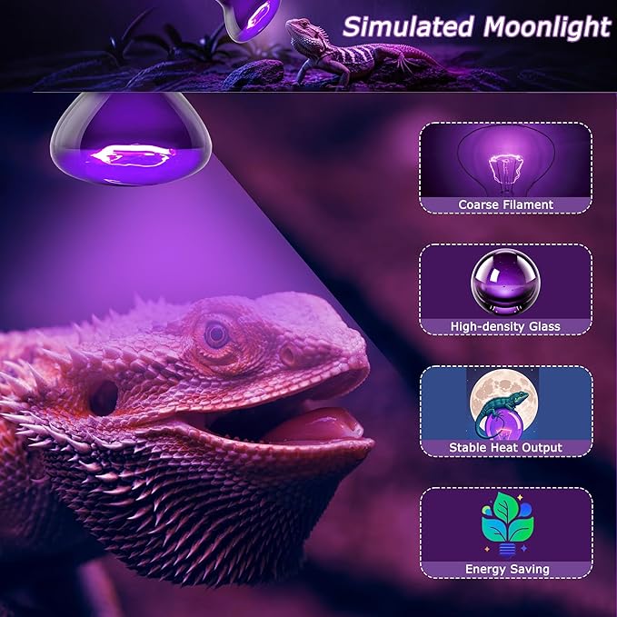 75W Reptile Night Light Bulb – 2.5" Compact Purple UVA Basking Lamp for Lizards, Chameleons, Snakes, Turtles, Amphibians, Bearded Dragons – Indoor Terrarium Heat & Night Lamp, 2-Pack