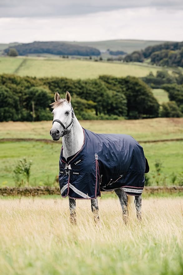 LeMieux Kudos 200g Turnout Blanket - 1680Denier Waterproof Outer - Detachable Neck Inlcluded - Navy - 66"