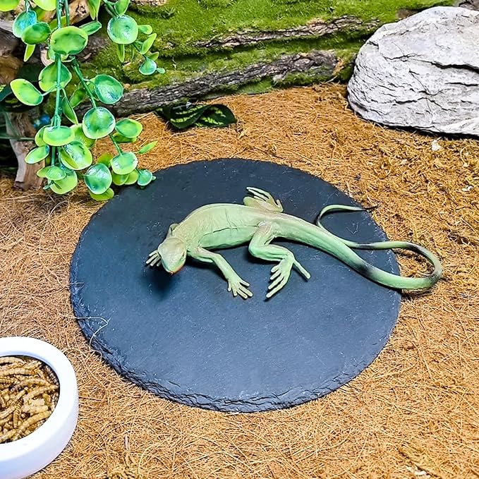Tfwadmx Reptile Basking Platform,7.8IN Tortoise Rock Slate Plate Feeding Food Bowl Dish Turtle Bathing Resting Terrace for Lizard Bearded Dragon Chameleon Gecko Snake Frog Newt