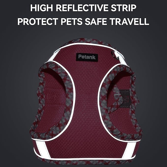 Petank Dog Harness for Small Medium Dogs No Pull, Puppy Harness and Leash Set for Walking, Running, Training, Small Dog Harness, Medium Dog Harness (Yellow, S)