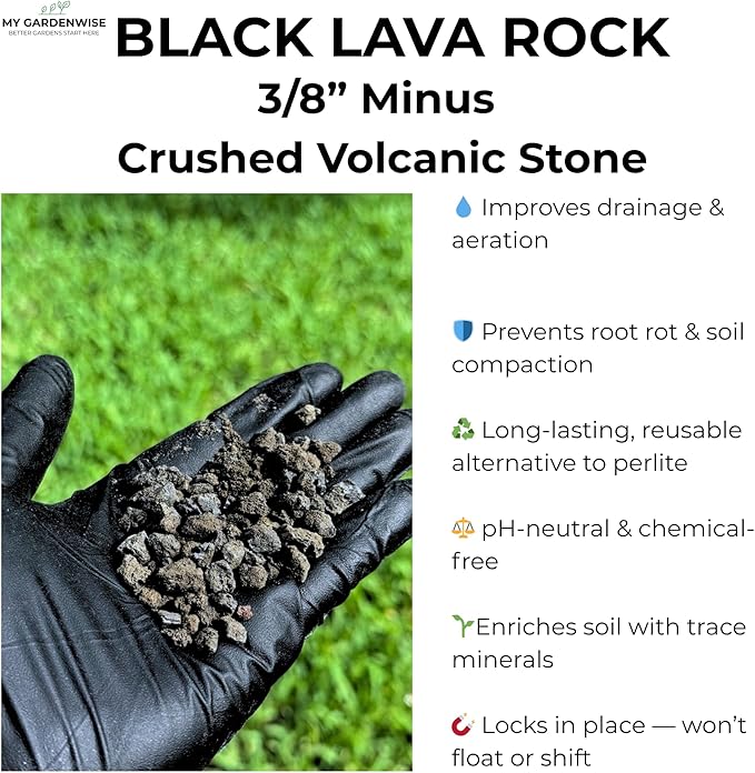 Lava Rocks for Plants (3/8’’ Minus), Natural Black Lava Rocks, Succulent & Terrarium Horticultural Volcanic Rock, Drainage for Potted Plants, Made in USA (1 qt - 2 lbs)