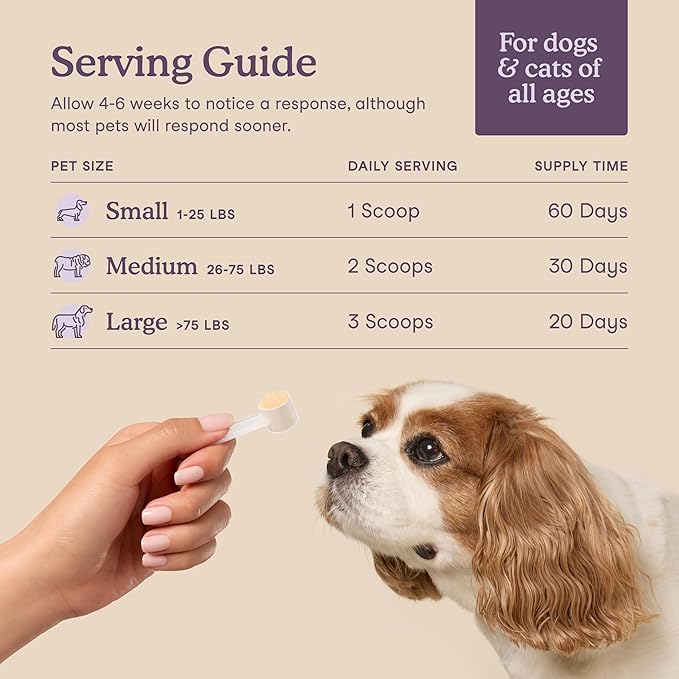 Fera Pets Calming Supplement for Dogs & Cats with Probiotics, L-Theanine, and Ashwagandha - Supports Anxiety Relief - Promotes Relaxation - 60 Scoops