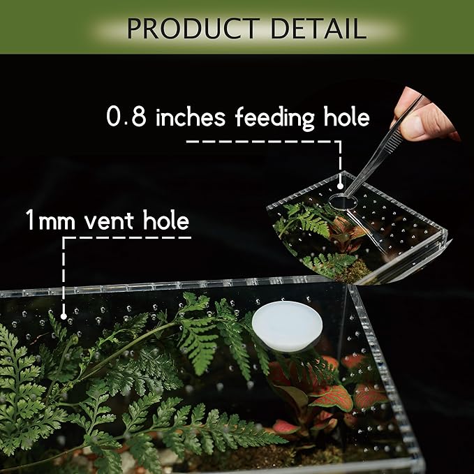 Acrylic Terrarium for Reptiles & Spiders – Small/Medium/Large Leak-Proof Enclosure (Horizontal/Vertical) | Ideal for Tarantulas, Jumping Spiders, Frogs & Geckos(Small Vertical)