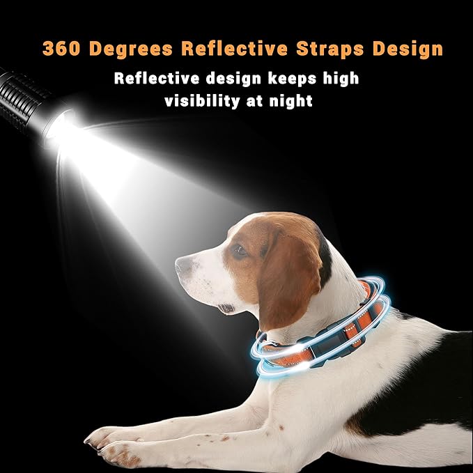 2 Pack Reflective Dog Collar with Safety Locking Buckle, Adjustable Soft Breathable Comfortable Nylon Pet Collar for Small, Medium and Large Dogs, Orange, XL