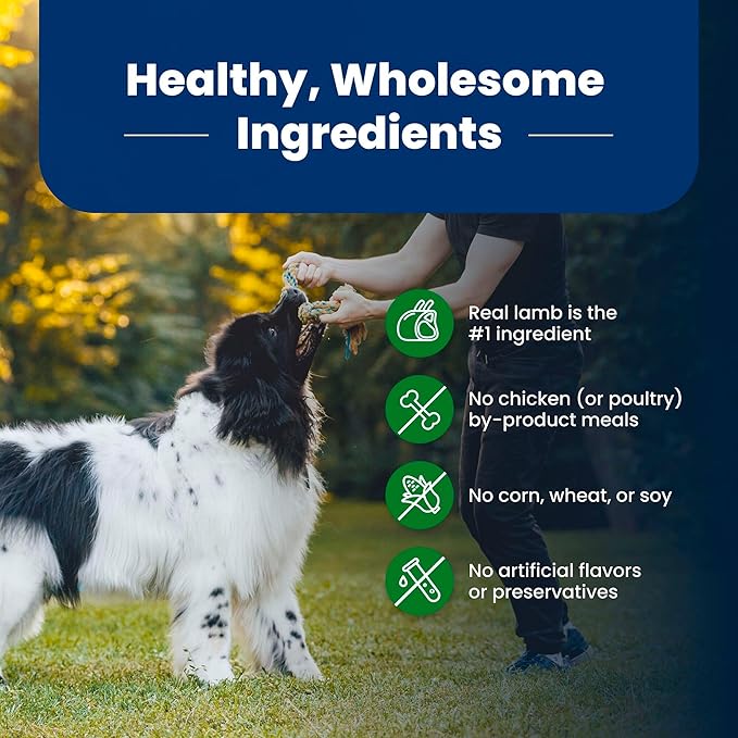 Blue Buffalo Life Protection Formula Adult Dry Dog Food, Helps Build and Maintain Strong Muscles, Made with Natural Ingredients, Lamb & Brown Rice Recipe, 40-lb. Bag