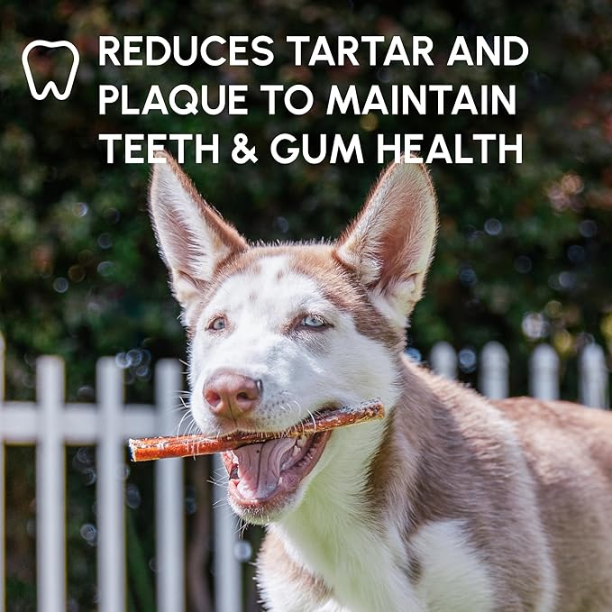 Downtown Pet Supply USA Sourced Bully Sticks for Dogs - Grass-fed Beef Chews, Low-Odor & Rawhide-Free, Long Lasting Dog Treats - Healthy, Safe & Delicious Chews (6" 5 Pack)