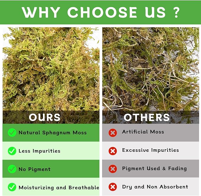 BNOSDM 26OZ Natural Sphagnum Moss for Reptiles,35QT Reptile Dried Live Moss Substrate for Terrarium Plants,Frogs Peat Mosses Bedding for Leopard Gecko,Tortoises,Snake,Lizards,Salamanders