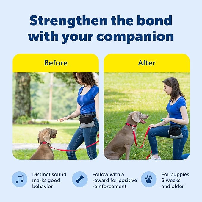 PetSafe Clik-R Training Tool - Positive Behavior Reinforcement - Ergonomic Design - Compact Finger Band - Daily Training Accessory - Clicker for Dogs & Cats - Teal