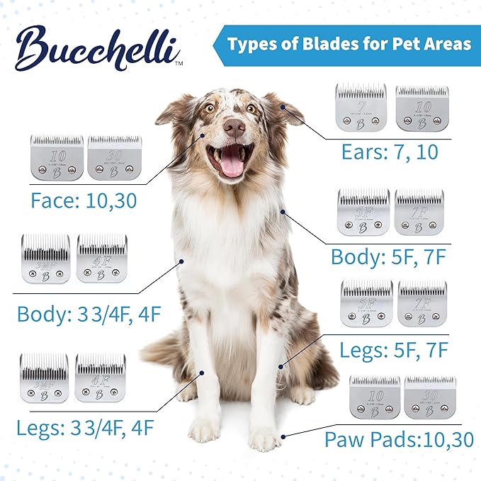 Detachable A Series 3/4 Blade Dog Grooming Cut Length 3/4" - 19mm Ideal for Large Trimming Areas Japanese Carbonized Steel Dog 19mm Replacement Blades | Compatible A5 Series(34HT)