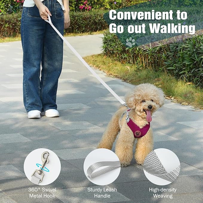 Pawaboo Small Dog Harness and Leash Set, Puppy Harness X-Frame No Pull No Choke, Dog Vest Harness Adjustable for Small Medium Sized Dogs, Soft Breathable Pet Harness for Walking Outing, M, Magenta