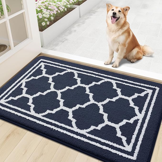 Buganda Indoor Door Mat, Dirt-Resistant and Absorbent Doormat, Low Profile