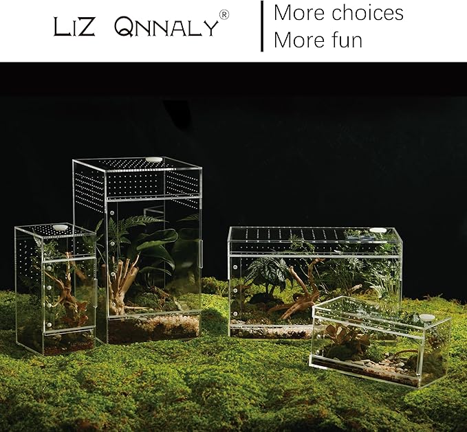 Acrylic Terrarium for Reptiles & Spiders – Small/Medium/Large Leak-Proof Enclosure (Horizontal/Vertical) | Ideal for Tarantulas, Jumping Spiders, Frogs & Geckos(Small Vertical)