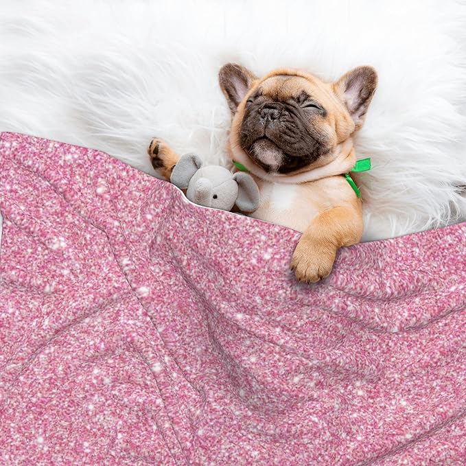 Waterproof Dog Blanket Soft Pet Blanket for Puppy Cat, Fleece Cat Throw Blankets for Furniture Bed Couch Sofa Reversible - Glitter