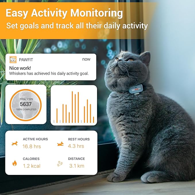 Pawfit Lite for Cats 4g GPS Tracker | Ultra-Small (<18g) Design | Real-Time Tracking | Activity Monitoring | Location History | Unlimited Range | Safety Collar Included | Simply White